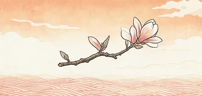 Sunset Magnolia
