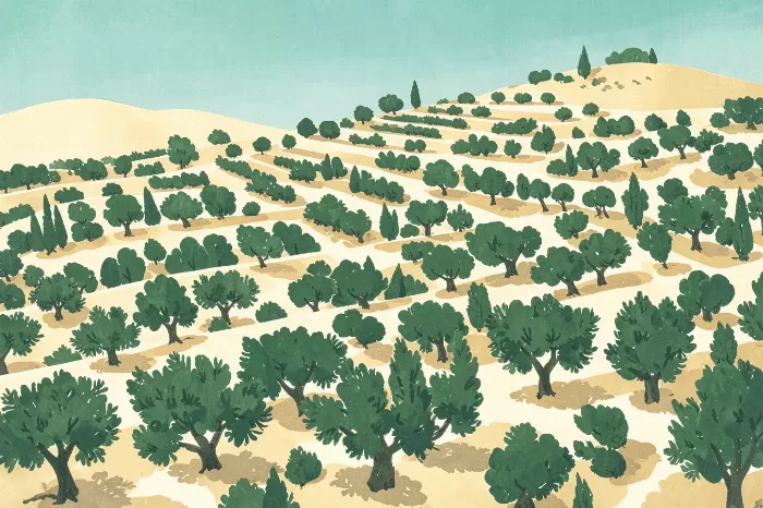 Cypress Rows