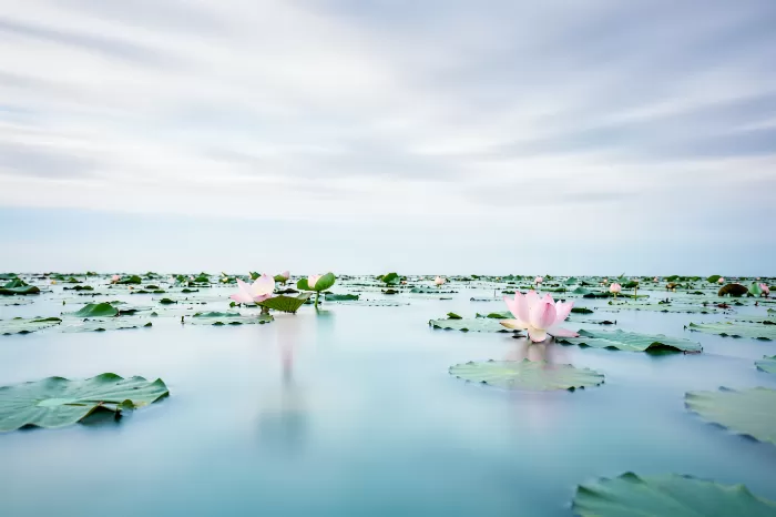 Silk Pond