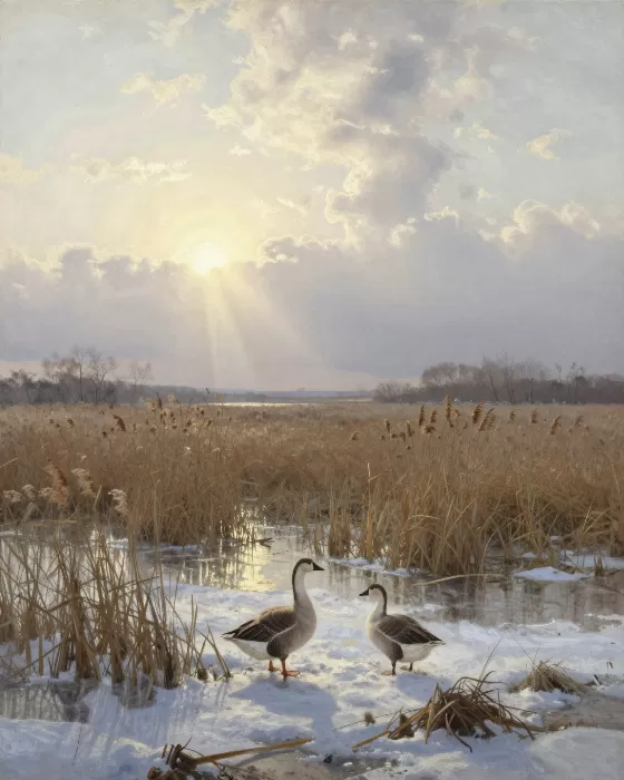 Winter Light II