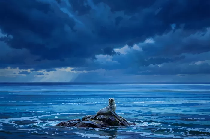 Storm Seal