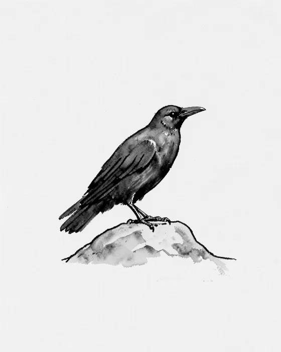 Ink Raven