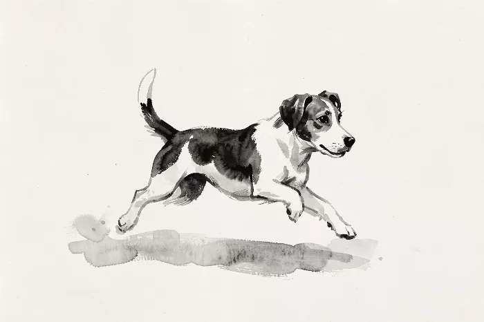 Running Jack