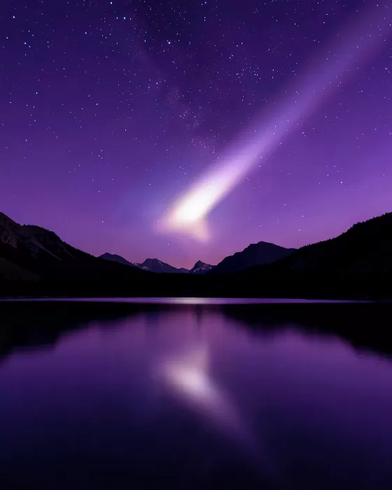 Violet Reflection