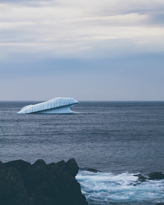 Movement And Ice - Newfoundland art print
