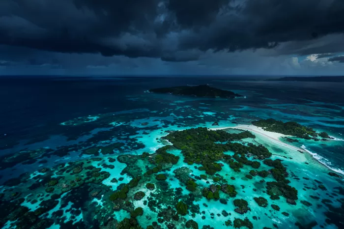 Emerald Reef