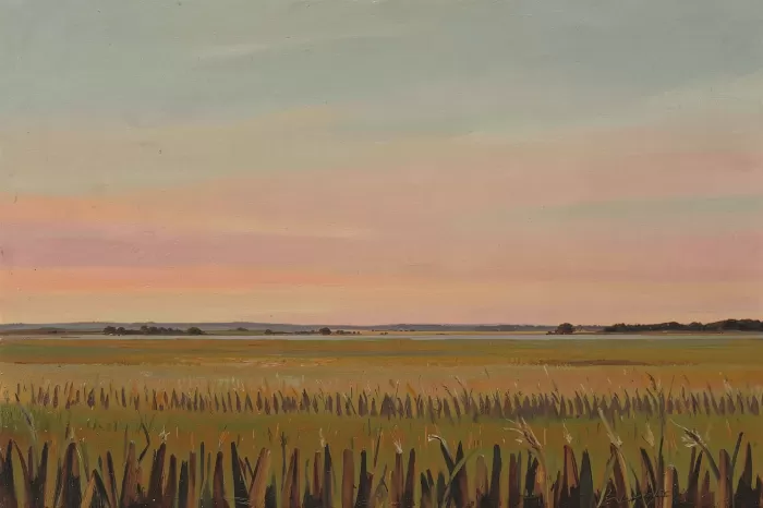 Dusk Fields