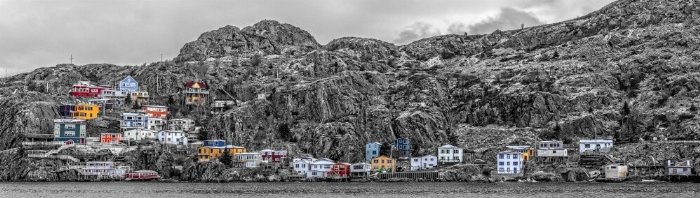First Snow - Newfoundland art print