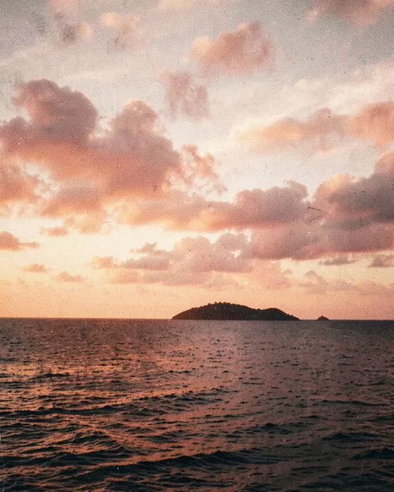 Apricot Horizon