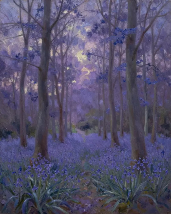 Bluebell Dusk
