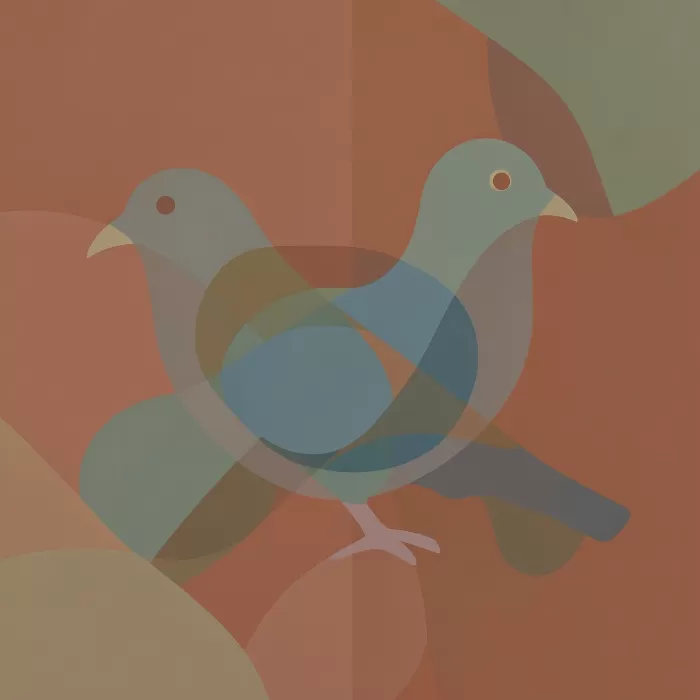 Pigeon Arcs