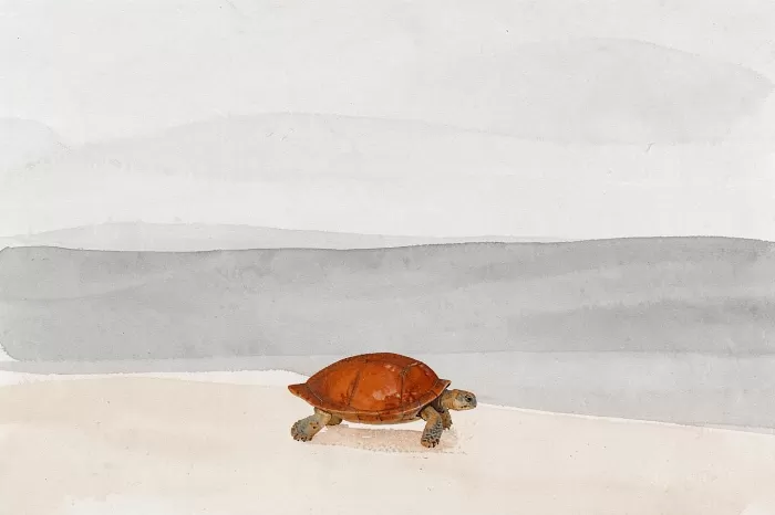 Slow Passage