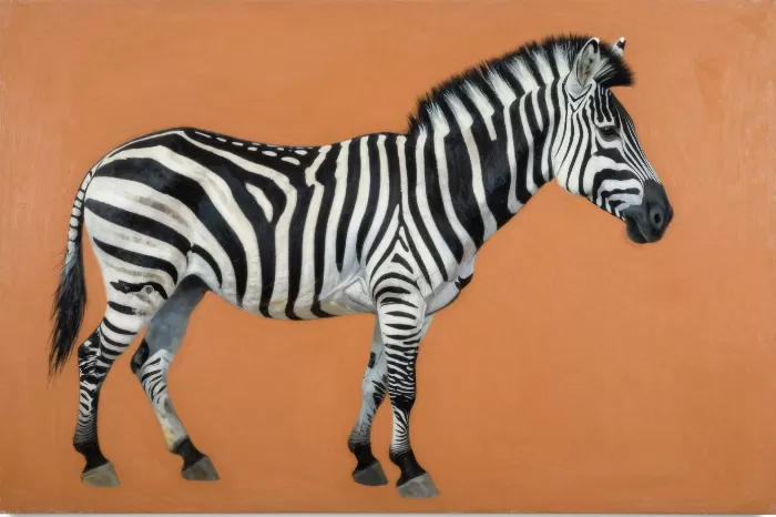 Zebra Stride