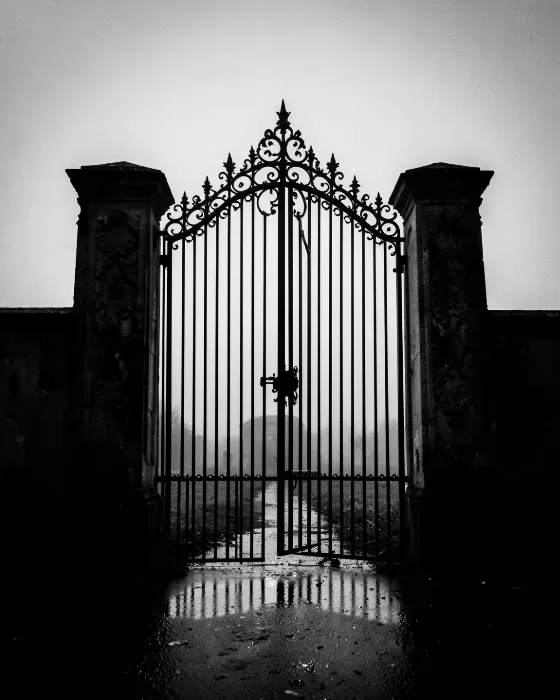 Misty Gate