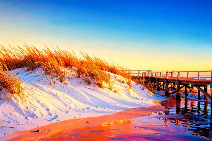 Sandy Reflections