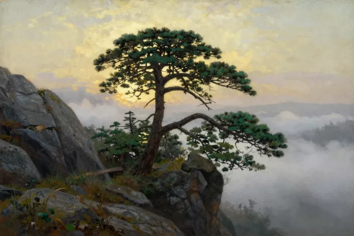 Sentinel Pine