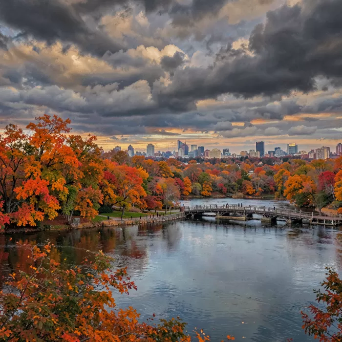 Fall Art canvas prints