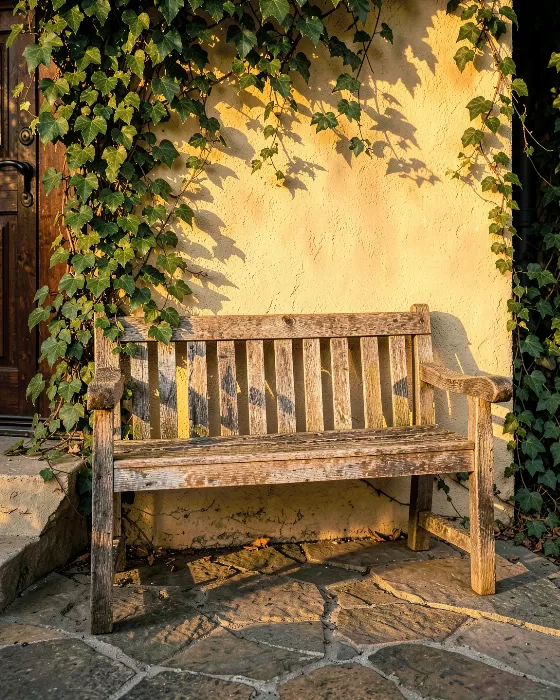 Golden Bench