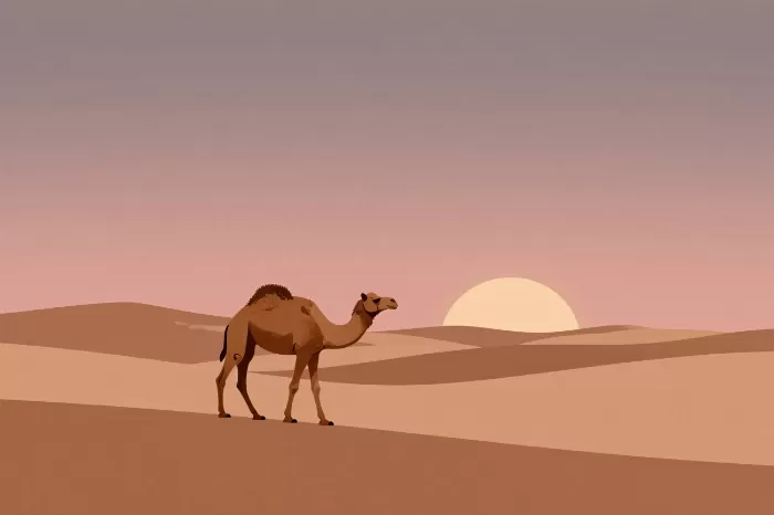 Dusk Caravan