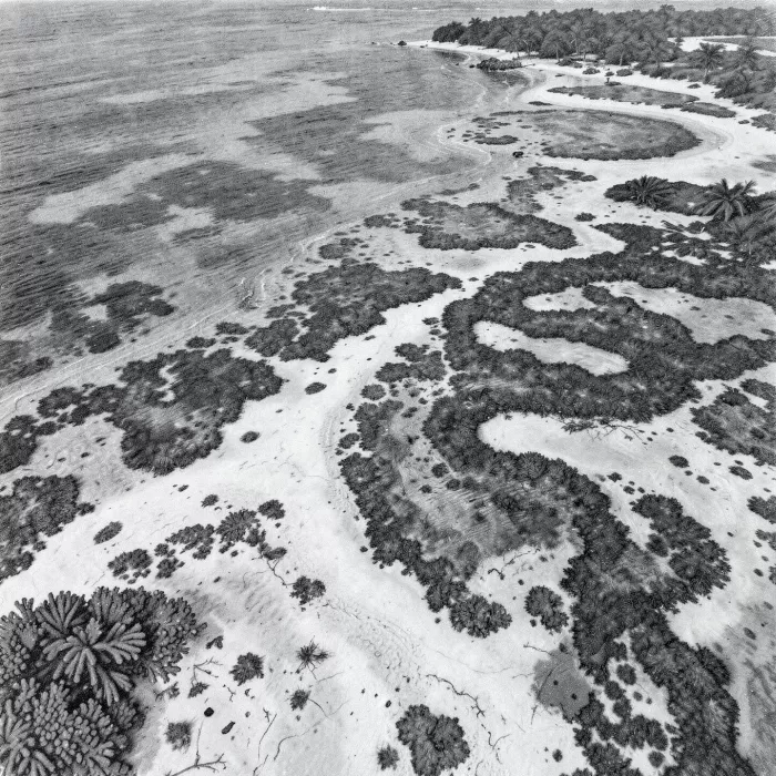 Reef Patterns