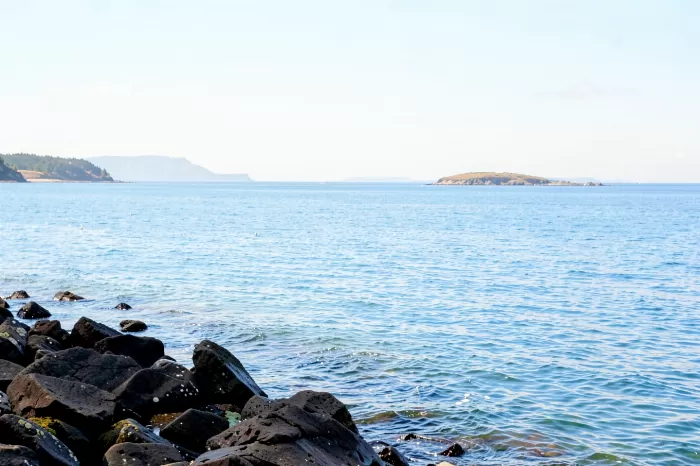 Tadoussac Shore