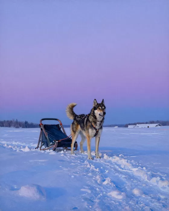 Northern Watch