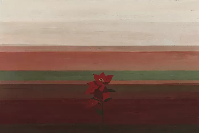 Poinsettia Horizon
