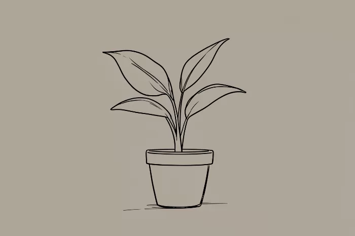 Quiet Growth