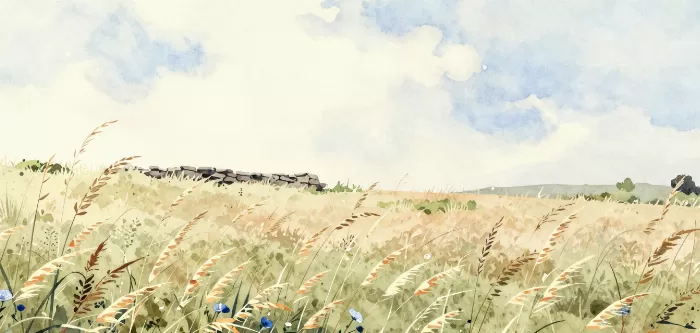 Summer Grasses