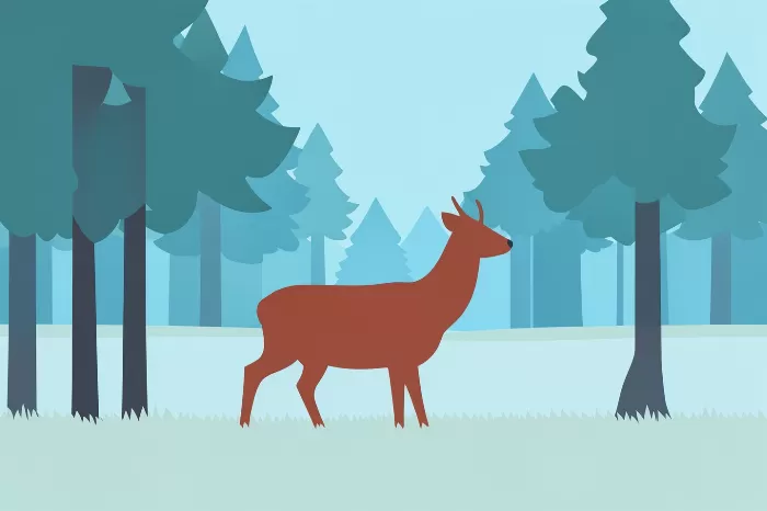 Misty Deer