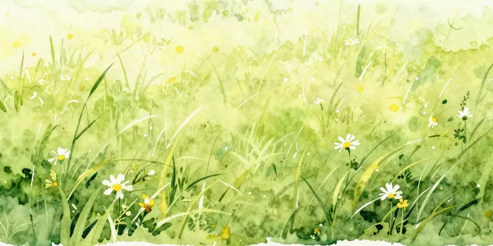 Matcha Bloom