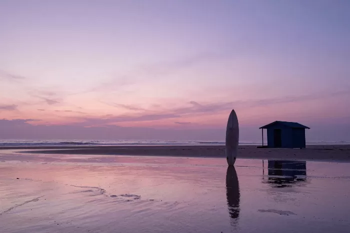 Twilight Surfboard