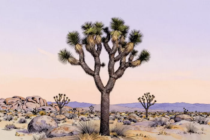 Lavender Sky