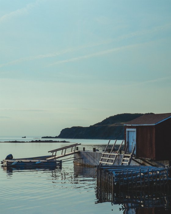 Perfect Calm - Newfoundland art print