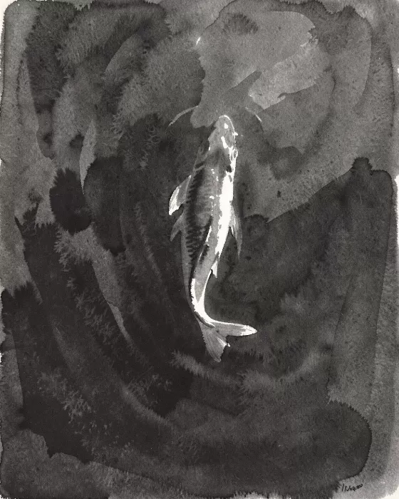 Koi Rise