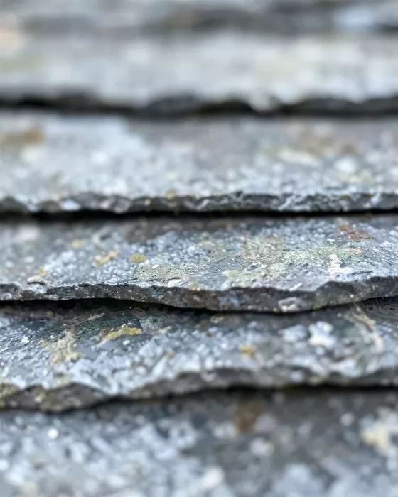 Silvered Shingle