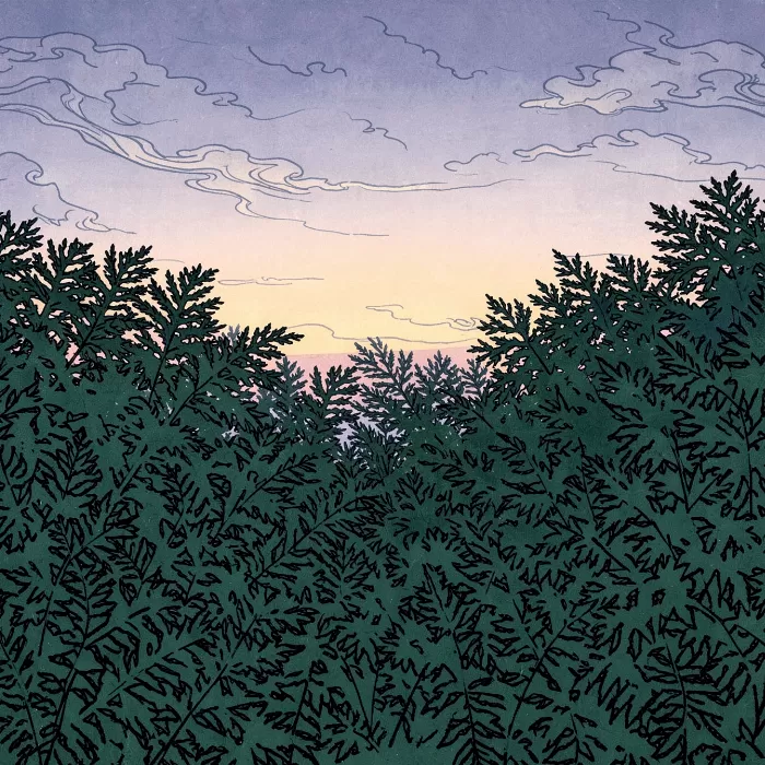 Fern Twilight
