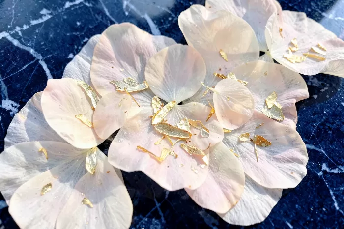 Navy Blossoms