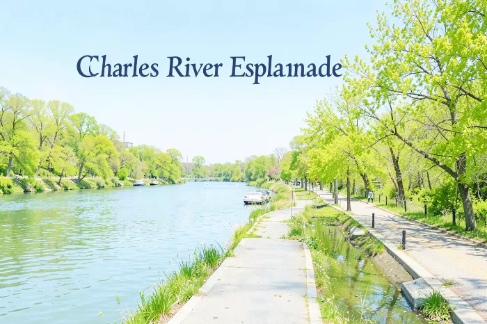 Esplanade Spring