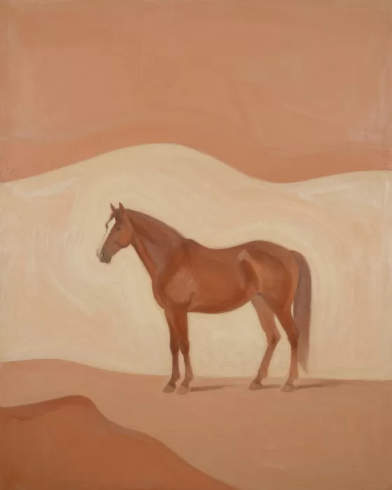 Desert Steed