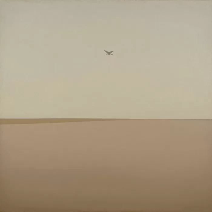 Dove Over Field