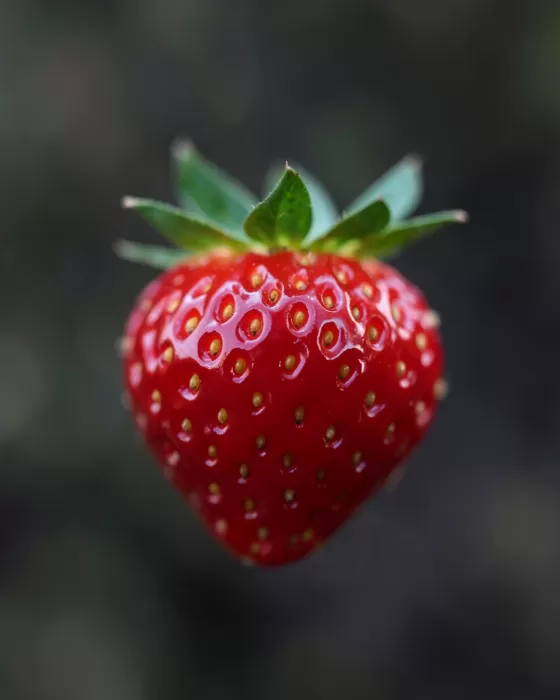 Scarlet Berry