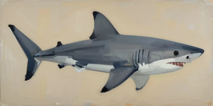 Slate Shark