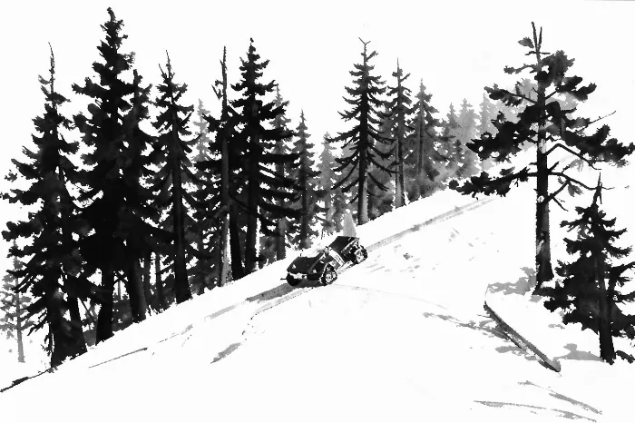 Pine Silhouettes