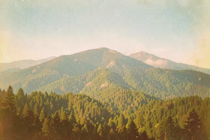 Hazy Slope