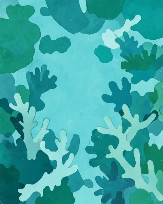 Coral Garden