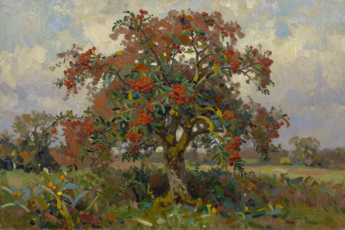 Rowan Reach