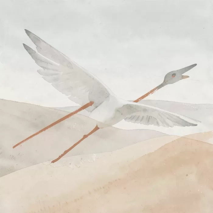 Wing Span II