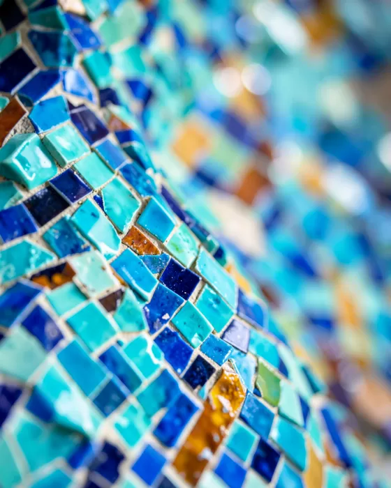 Mosaic Curve