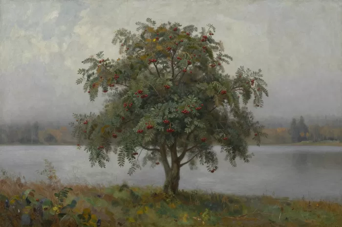 Rowan Loch